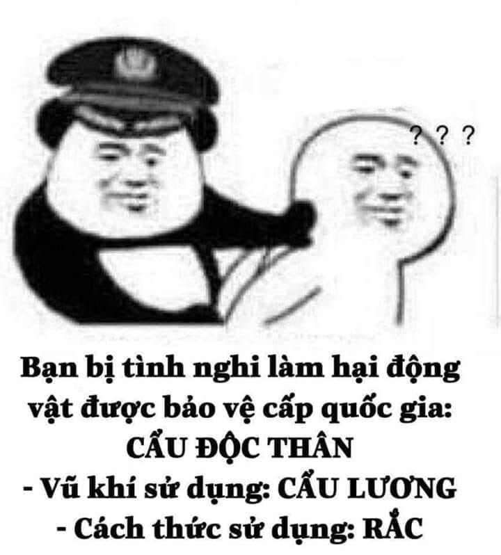 bộ sưu tập cơm chó meme