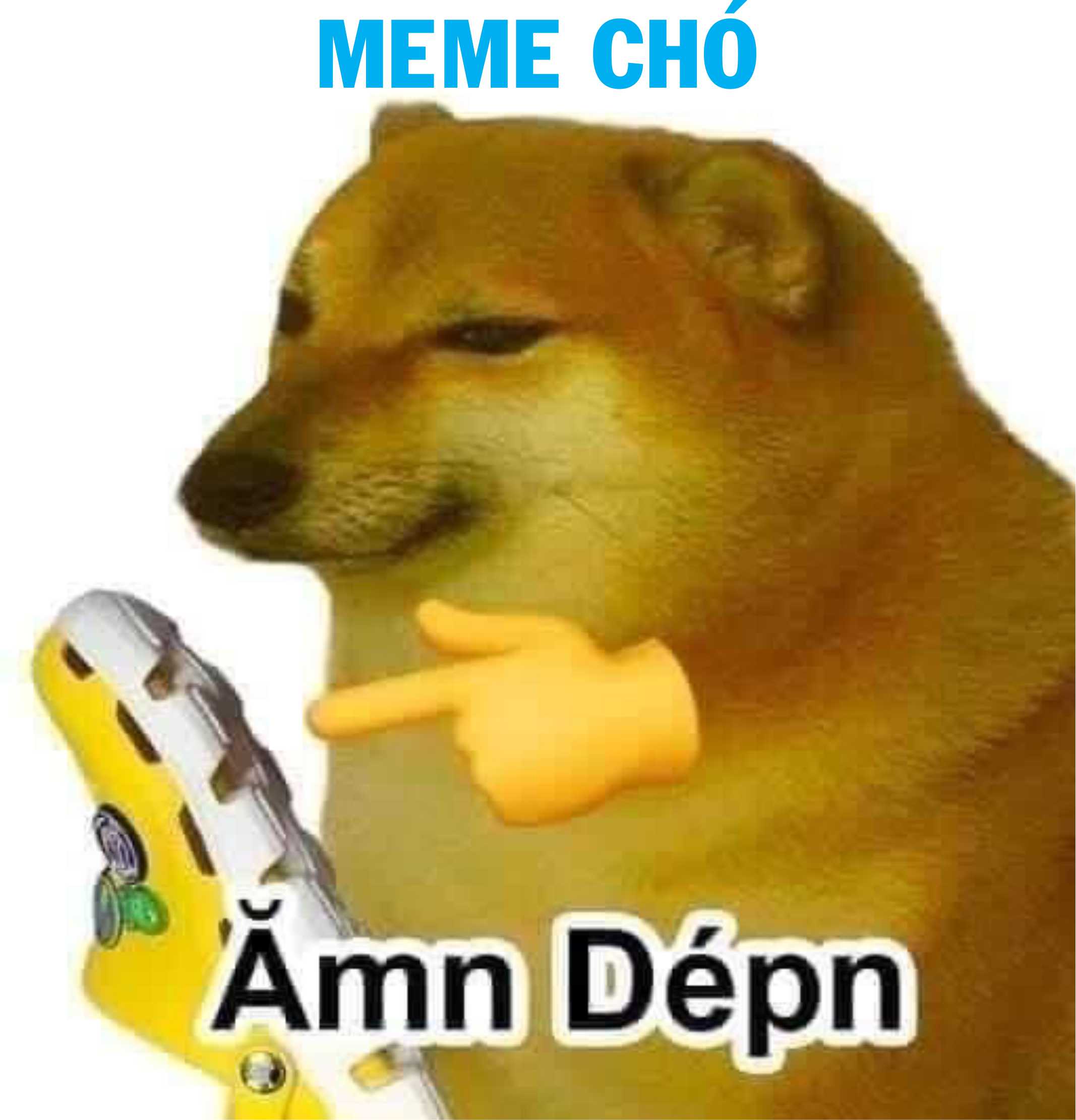 bộ sưu tập meme chó