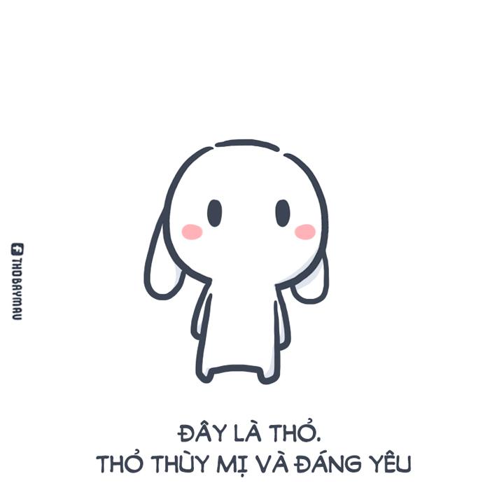 bộ sưu tập thỏ bảy màu meme