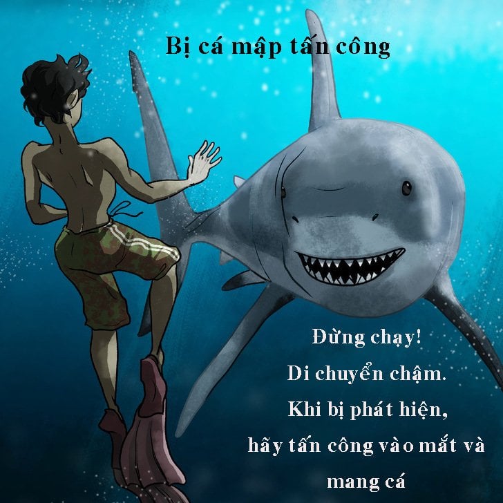 cá mập meme bá đạo