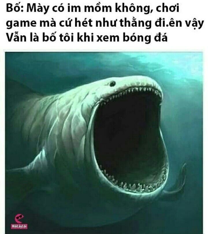 cá mập meme 0027