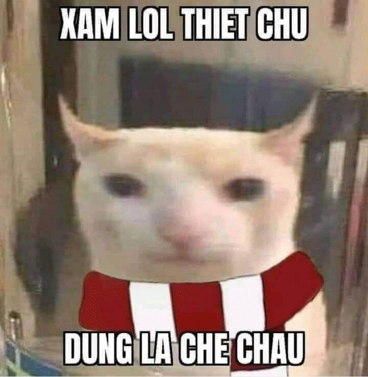 cách chia sẻ ảnh meme có chữ