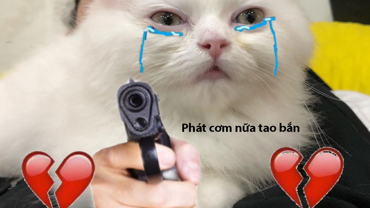 cảm hứng từ cơm chó meme