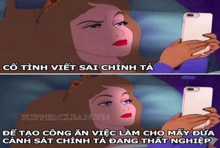 chia sẻ cảnh sát chính tả meme trên mạng xã hội