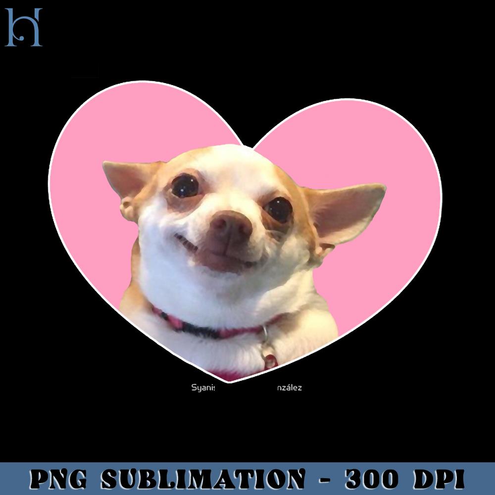 chihuahua meme và hình ảnh game