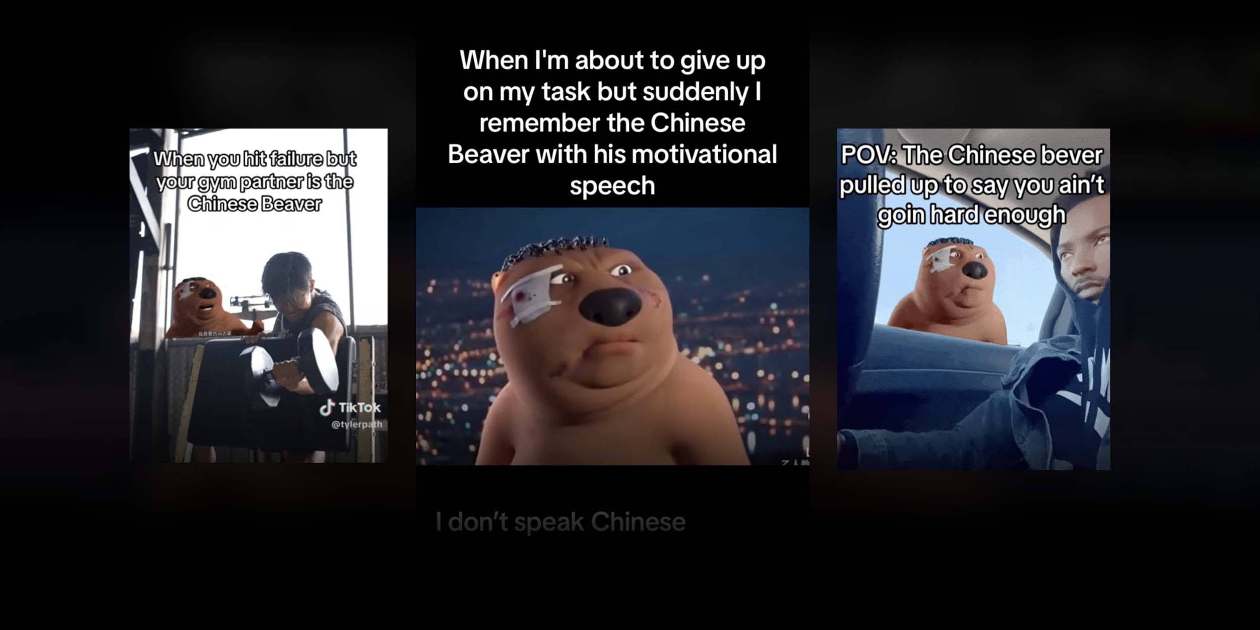 China meme 0021