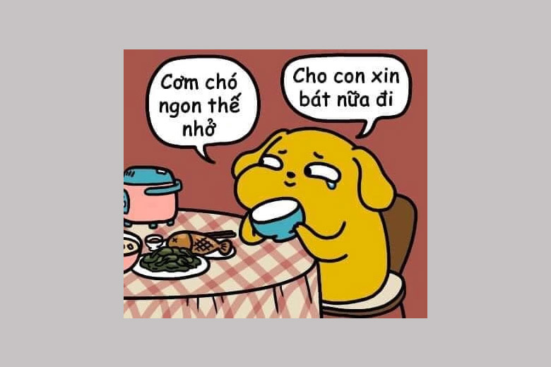 cơm chó meme funny