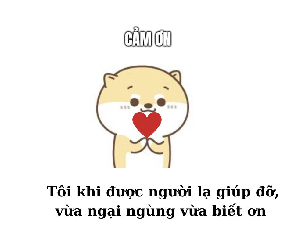 đội ơn meme gây cười