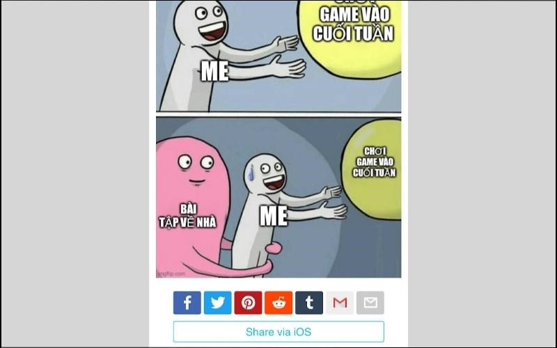 đội ơn meme 0029