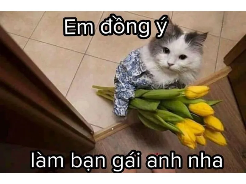 em đẹp lắm meme 0028