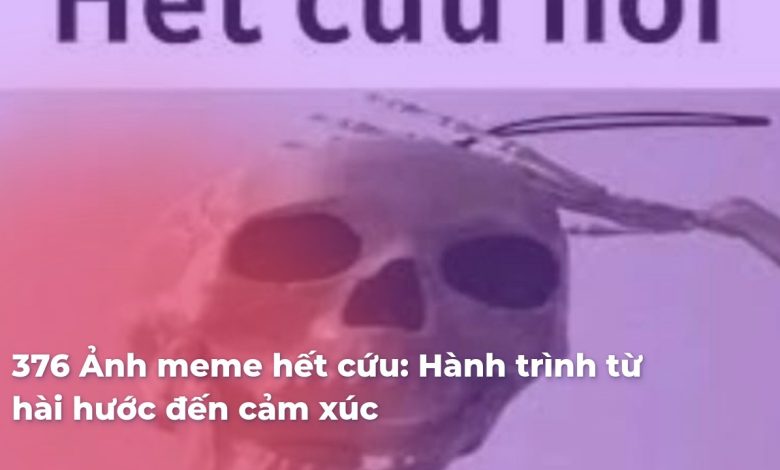 hết cách meme 0049