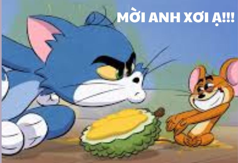 hình nền Tom meme