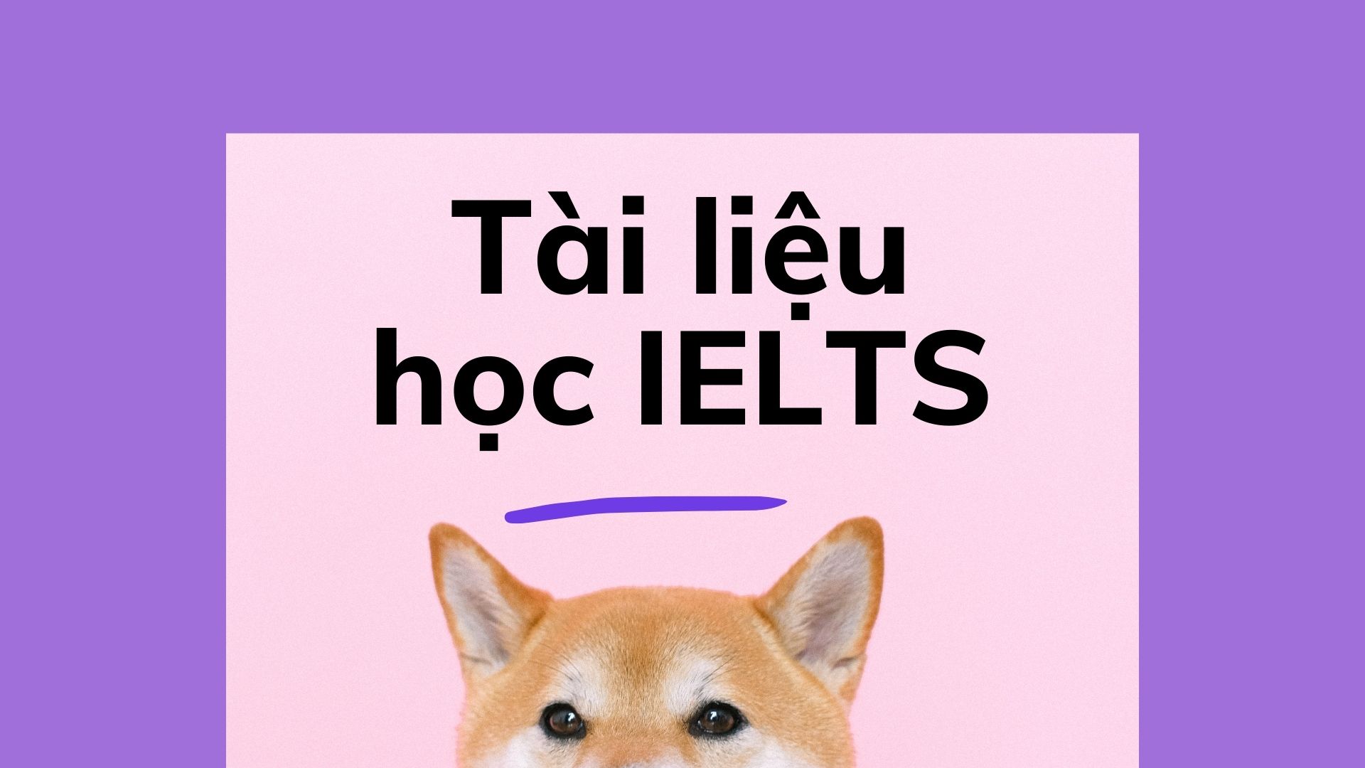 ielts meme 0030