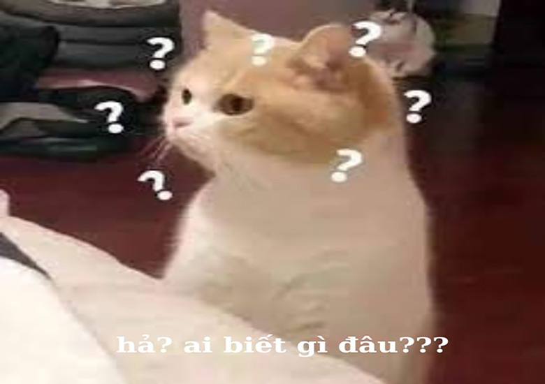 meme ai biết gì đâu gây sốt