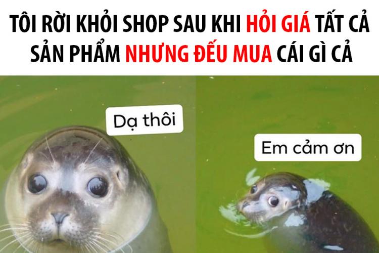 meme ai biết gì đâu 0047