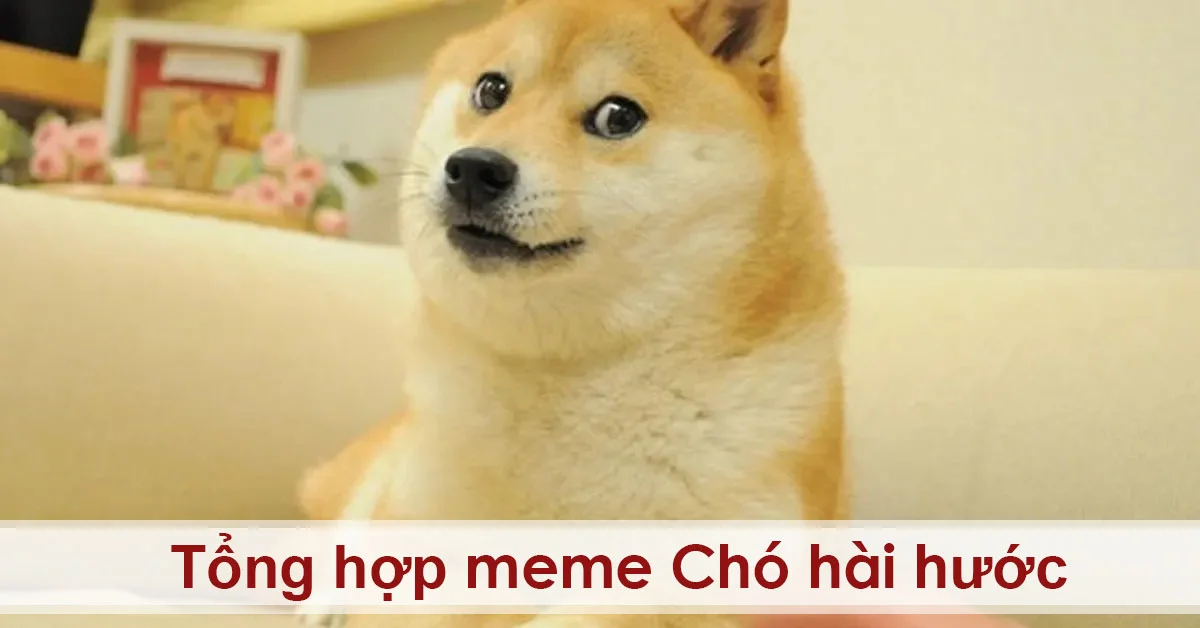 meme ảnh chó hài 0024