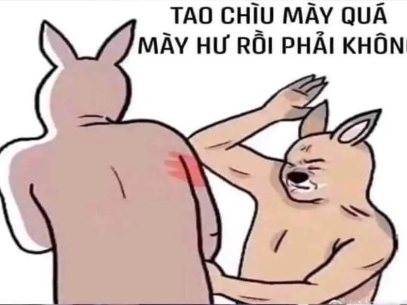 meme ảnh troll 0023