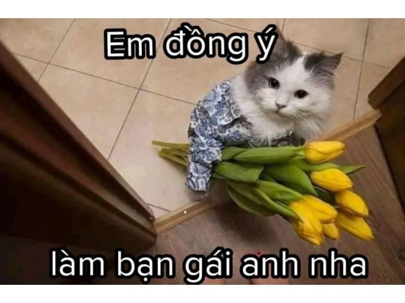 meme anh yêu em 0024