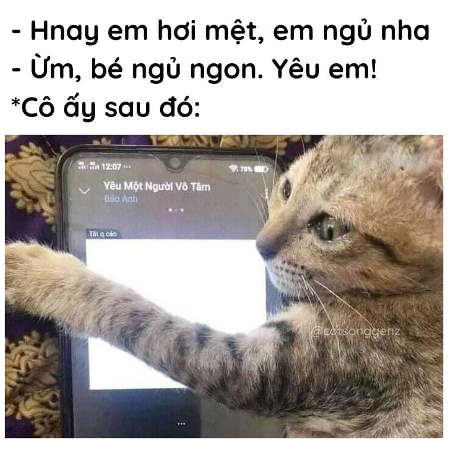 meme anh yêu em 0048