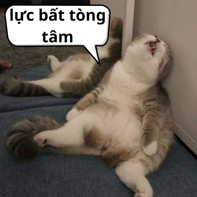 Meme bất lực 0036