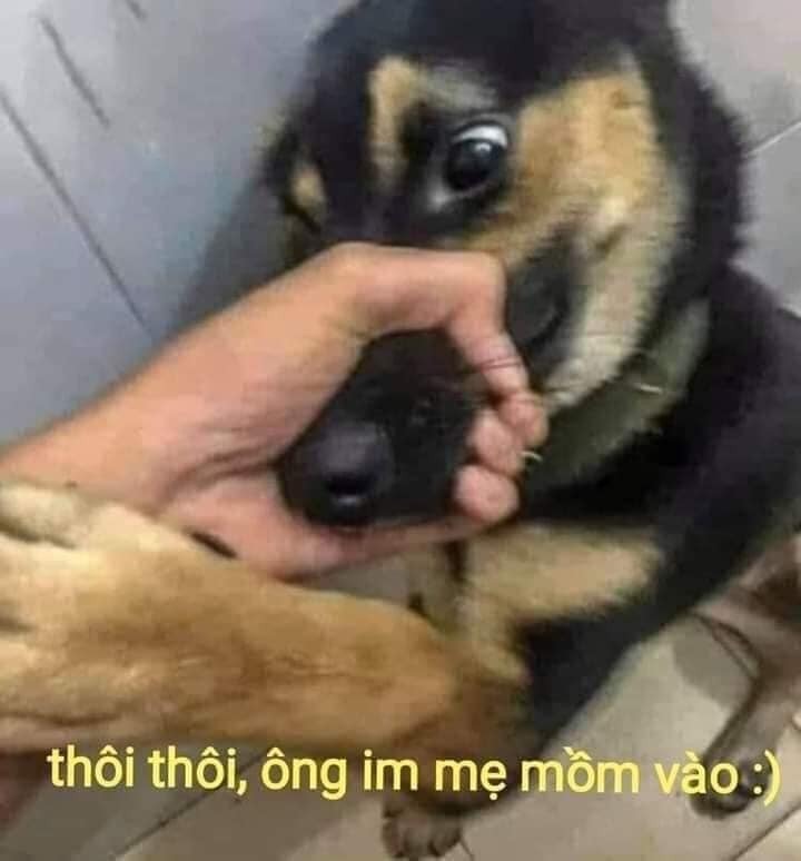 meme bóp cổ cute