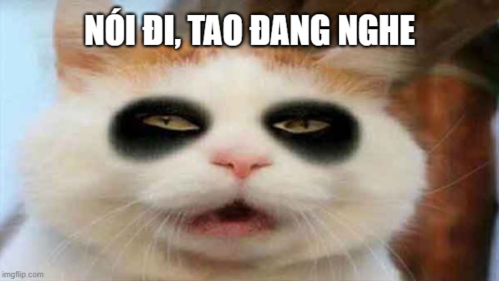 meme buồn ngủ ấn tượng