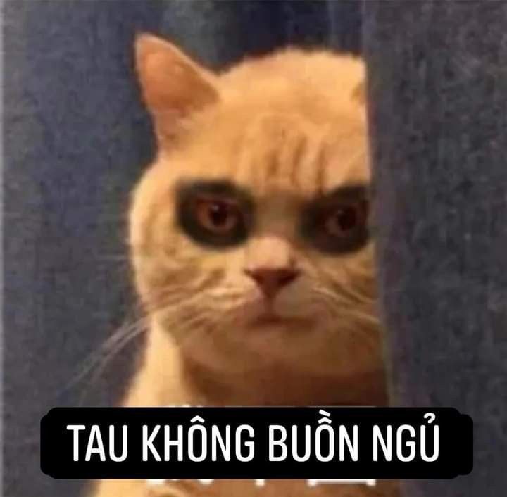 meme buồn ngủ