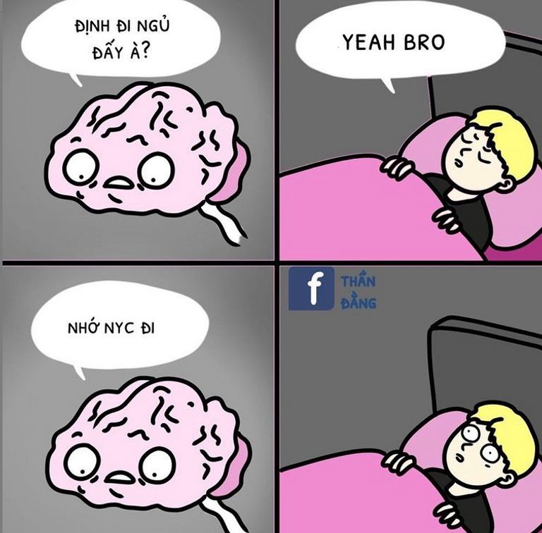 meme buồn ngủ 0027