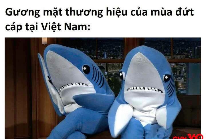 meme cá mập dễ thương