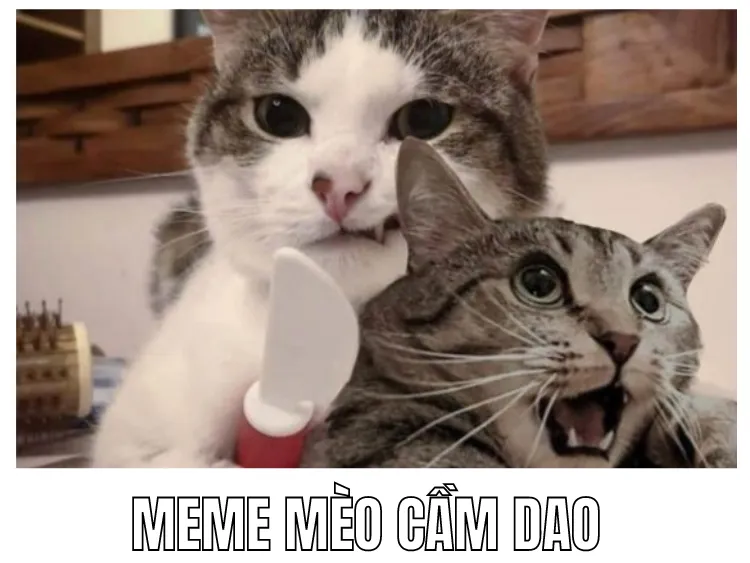 meme cầm dao chế ảnh