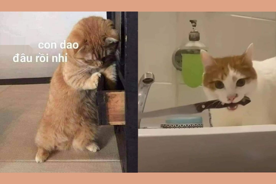 meme cầm dao nổi bật