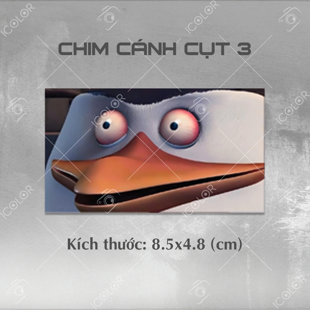 meme chim cánh cụt 0049