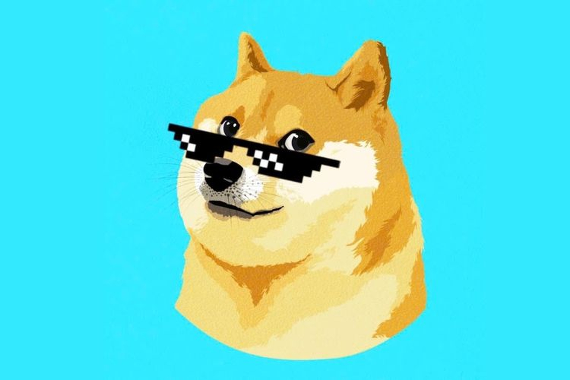 meme chó shiba