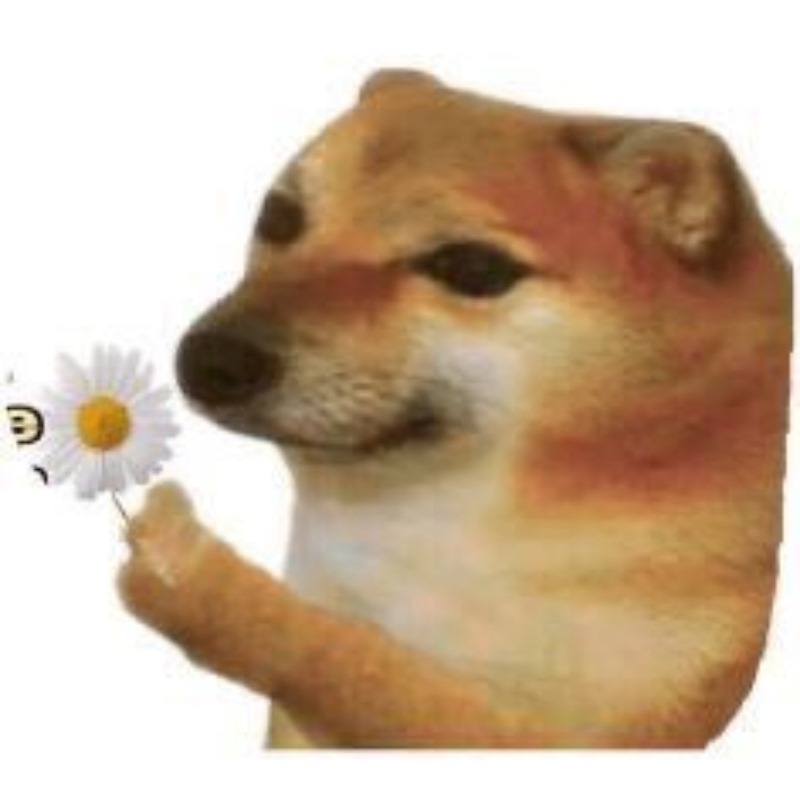 meme chó shiba 0034