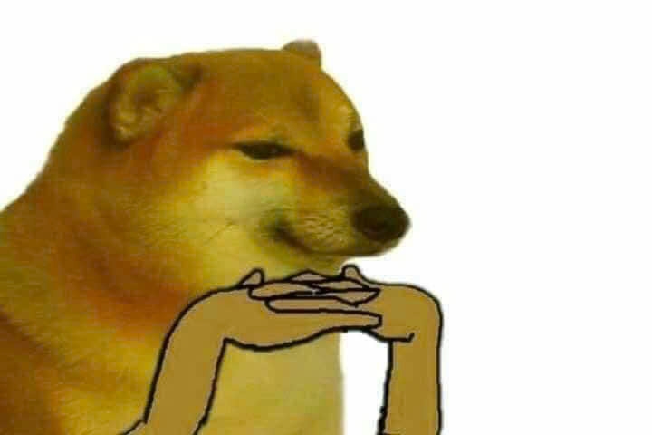 meme chó shiba 0035