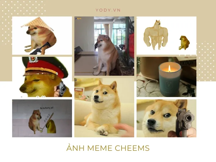 meme chó shiba 0037