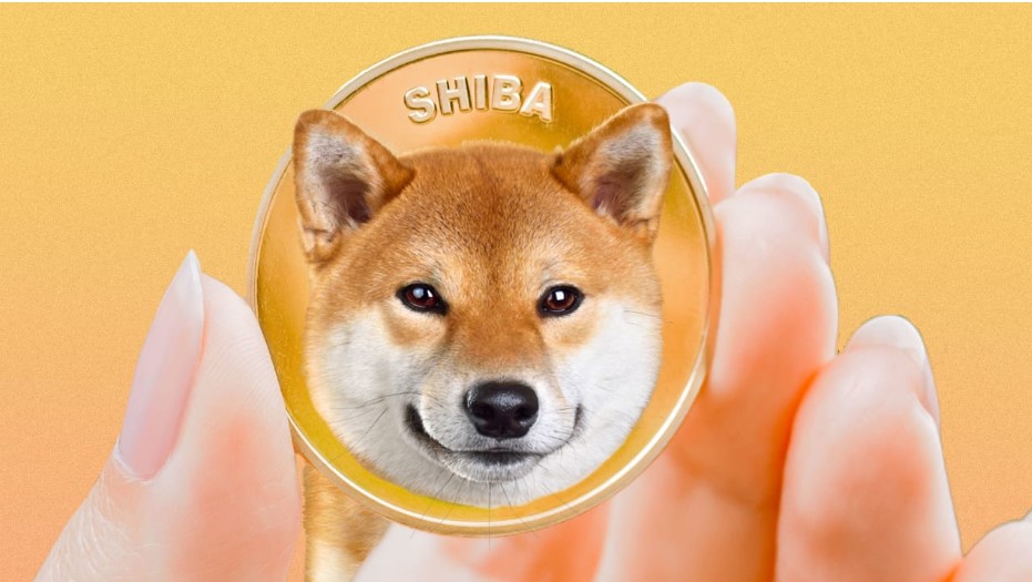 meme chó shiba 0040