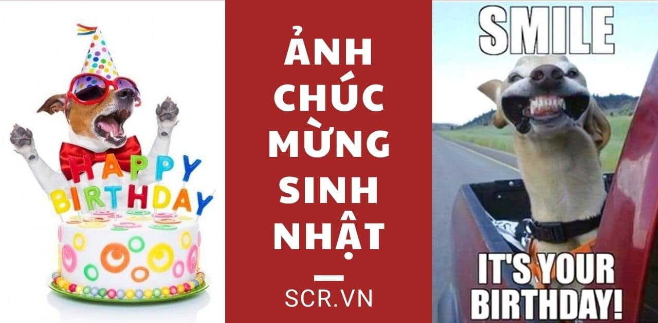 meme chúc mừng sinh nhật 0037