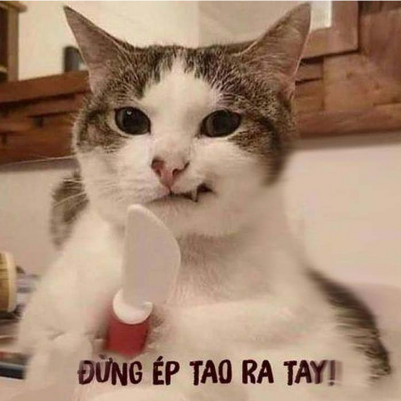 meme chửi tục chất