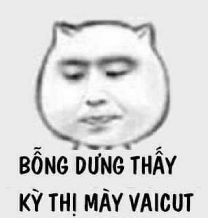 meme chửi tục ý nghĩa.