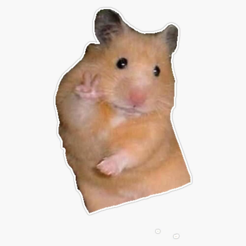 meme chuột hamster cho bạn bè