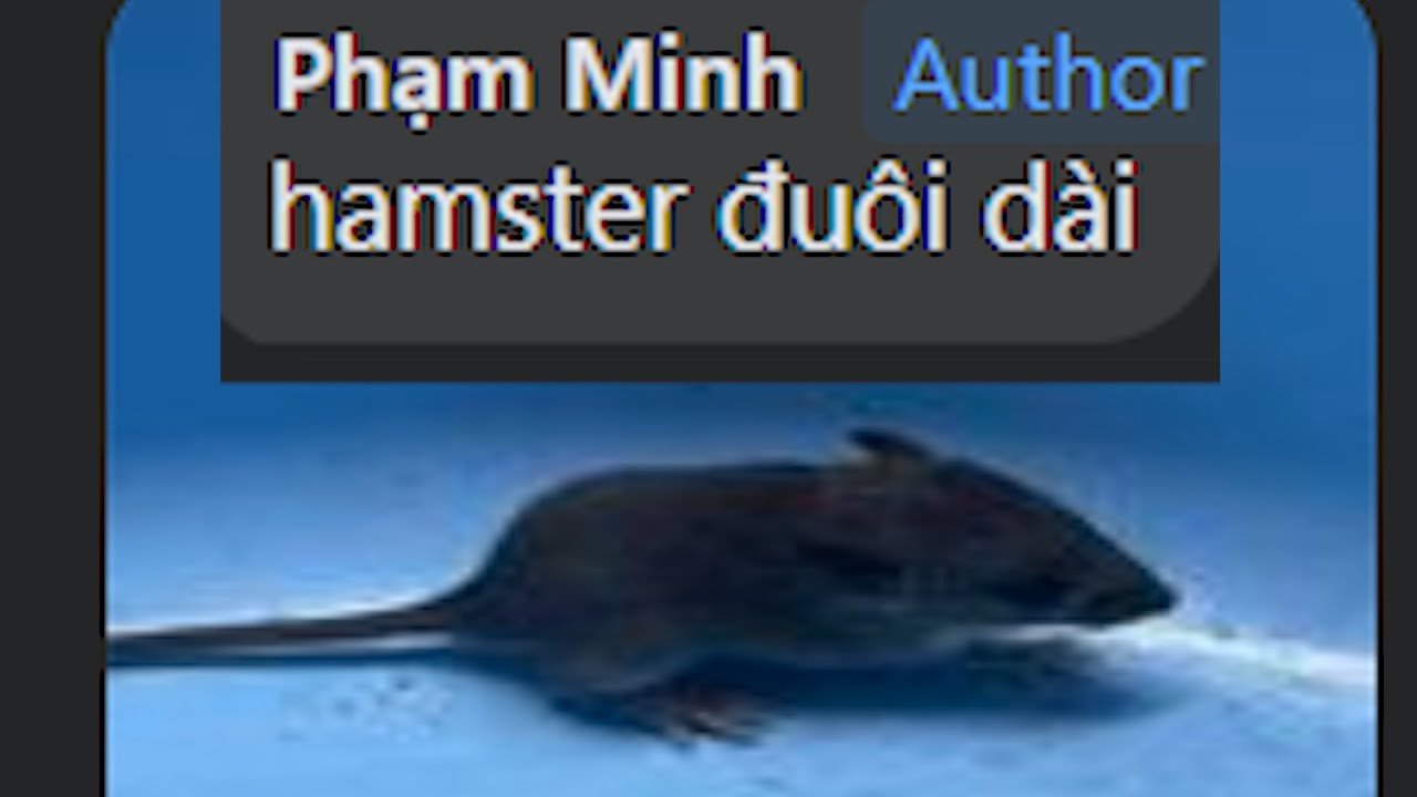 meme chuột hamster 0027