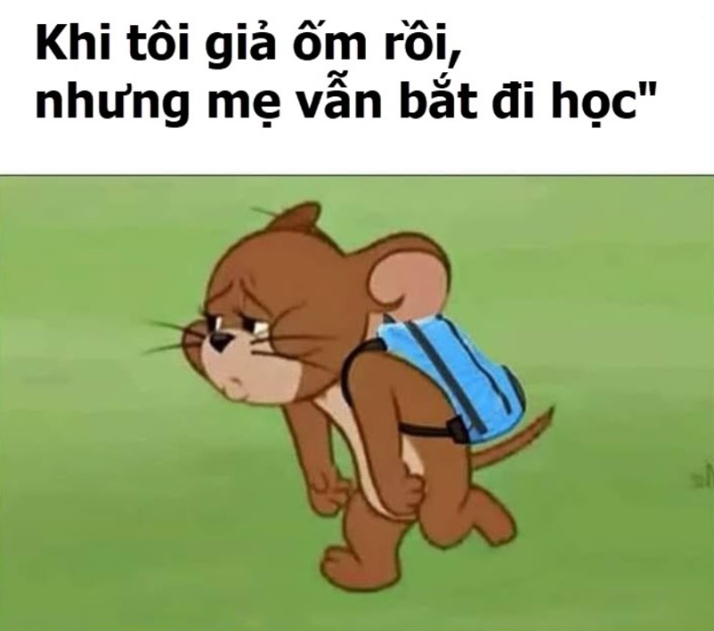 meme chuột Jerry 0031