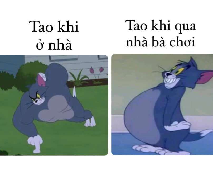 meme chuột Jerry 0047