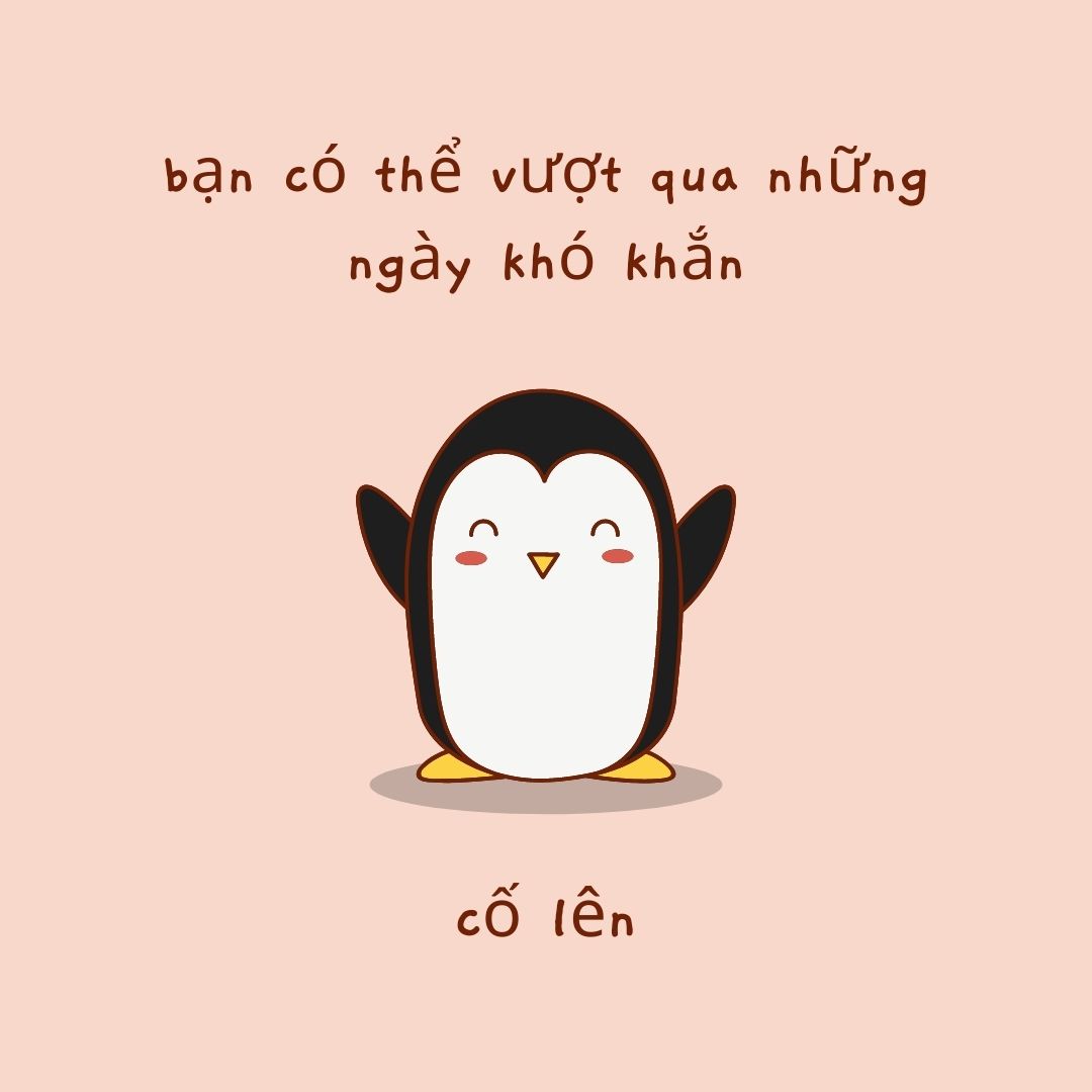 meme cố lên 0028