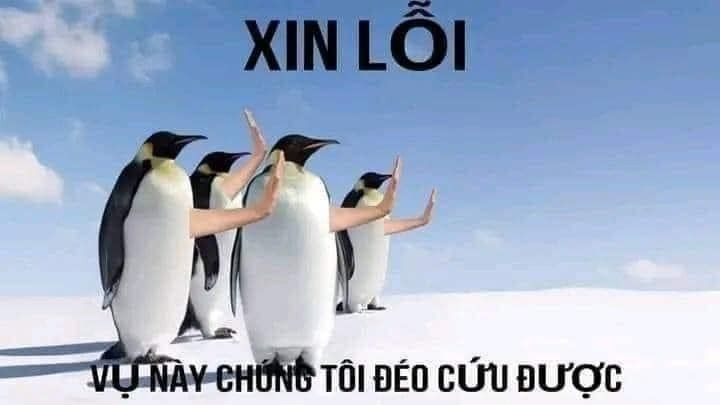 meme còn cứu được 0021