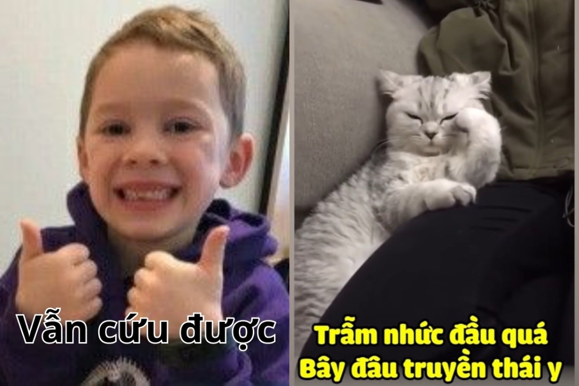 meme còn cứu được 0025