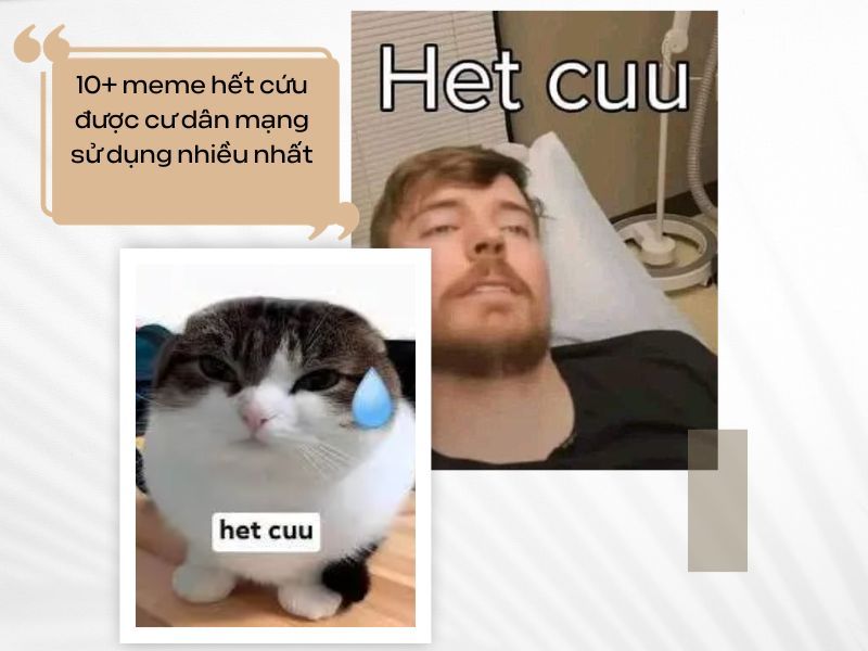 meme còn cứu được 0029