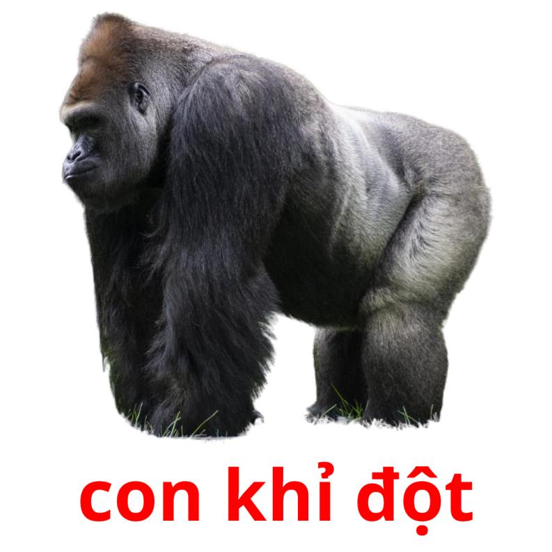 meme con khỉ 0036