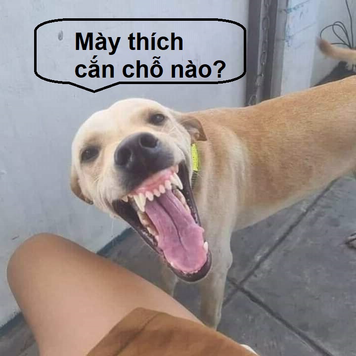 meme cười 0047